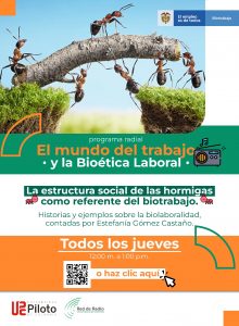 estructura-social-de-las-hormigas-poster-programa-bioetica-laboral